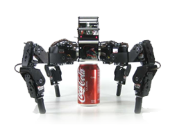 SES-V1 Legged Robot