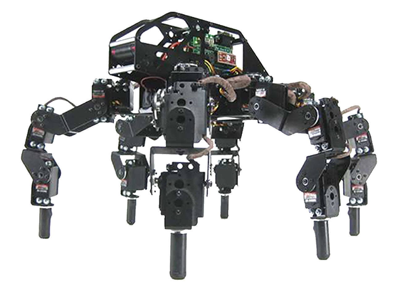 Lynxmotion T-Hex Robot